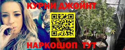 прущие крисы Нарткала