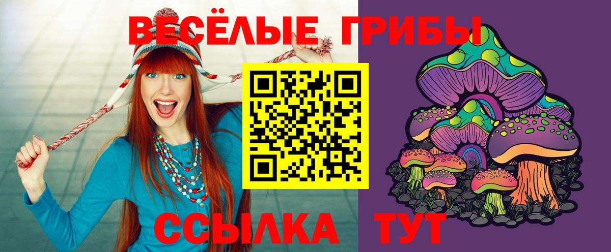 Подольск  Галлюциногенные грибы мухоморы  цены   Вход с VPN 